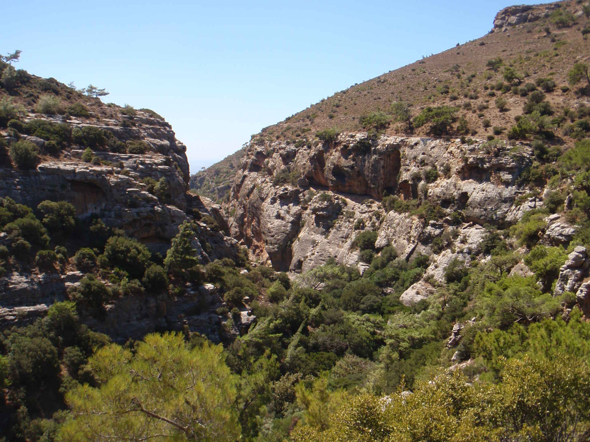 Hiking in Pefki gorge