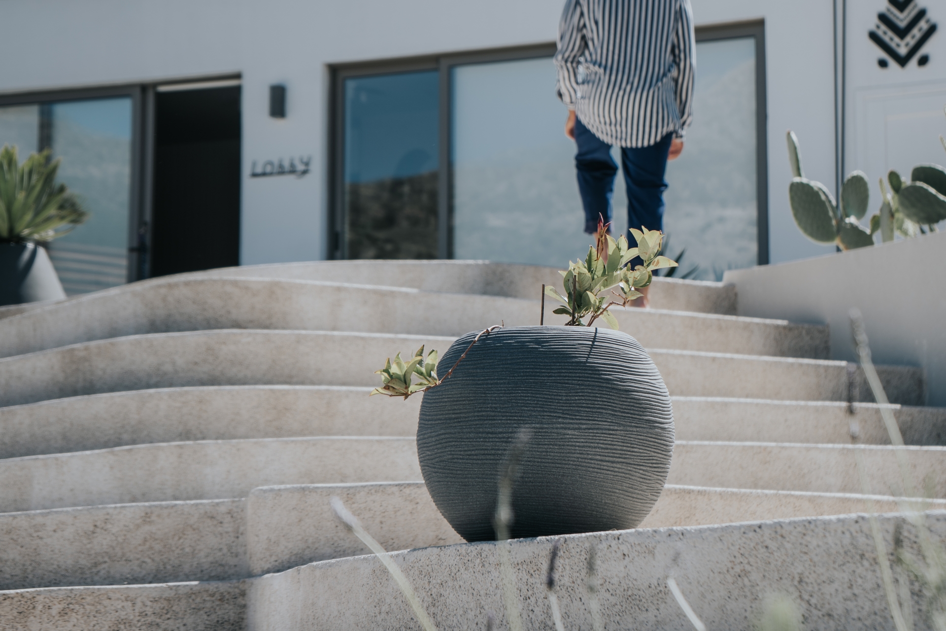 Pignolia Suites Crete Exterior10